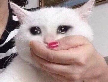 frdthaaa's tweet image. Finally dapet jg akun pyc😭😭