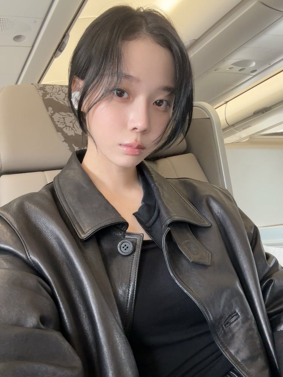 stupidcheesecat's tweet image. 