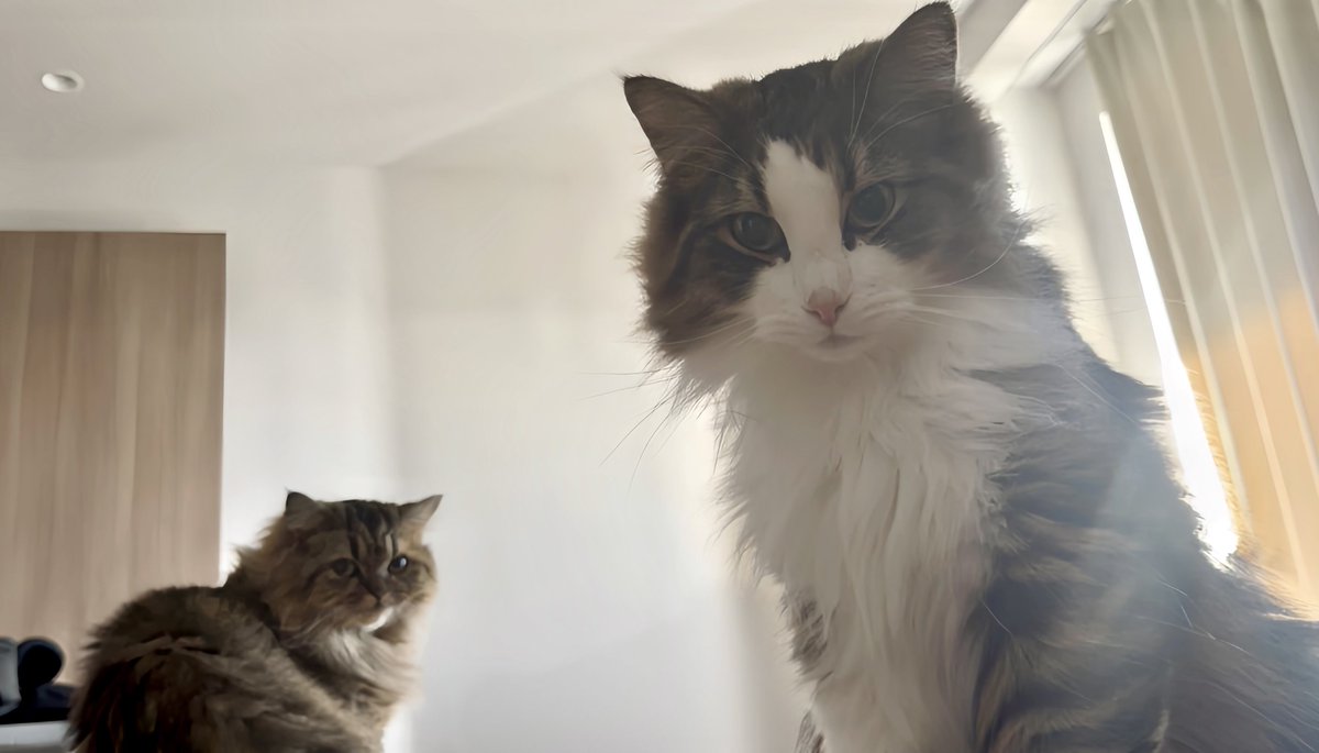 いいですか、落ち着いて聞いてください