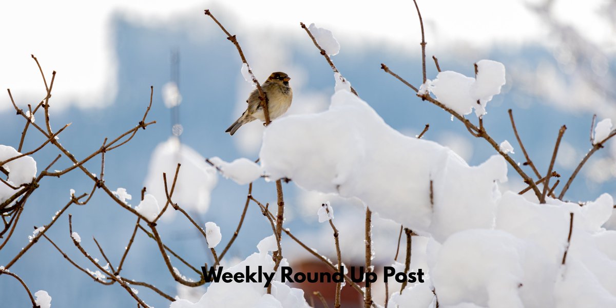 Happy New Year 
I am back with my first weekly round up post of 2026 and a brand new giveaway.
Head over to stressedmum.co.uk/ramblings-of-a… to find out more
#weeklyroundup #giveaway #HappyNewYear2026