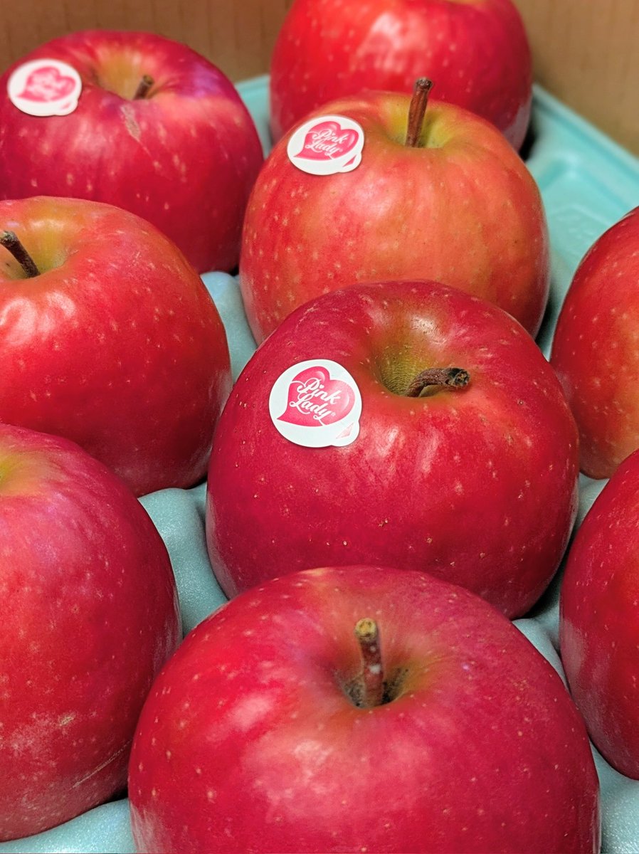 リンゴ R ZX-25R/ZX-4R イクシル RCR ラウンドカーボンエクストリーム