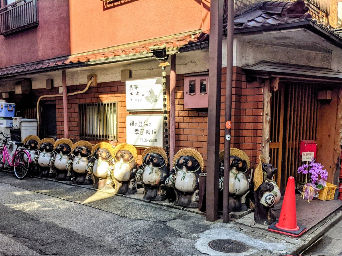 たぬきが列を作ってた₍ᐢ⓿ᴥ⓿ᐢ₎