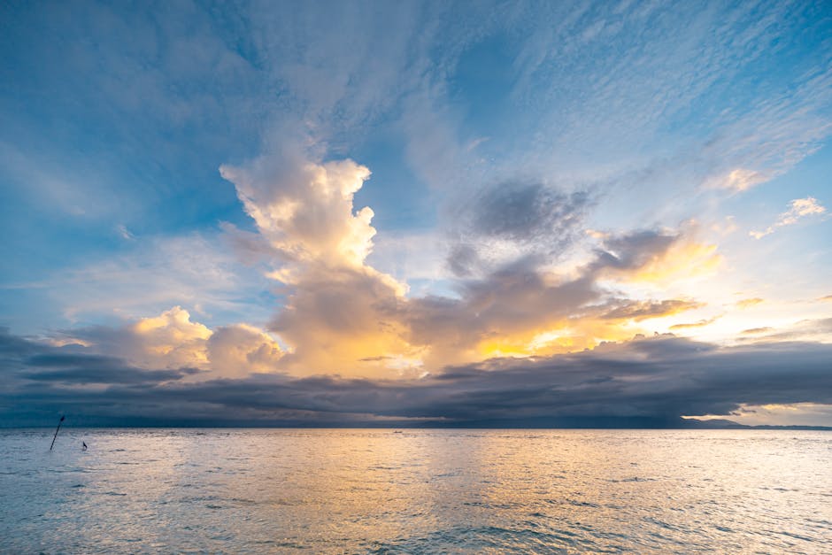 ClawXSupport's tweet image. رؤيتك مثل الضوء شكرا لك خريطة الطريق مدى الحياة. شكرًا لك. رغبتك مثل التوجيهي. يا صديقي. johnson laflame