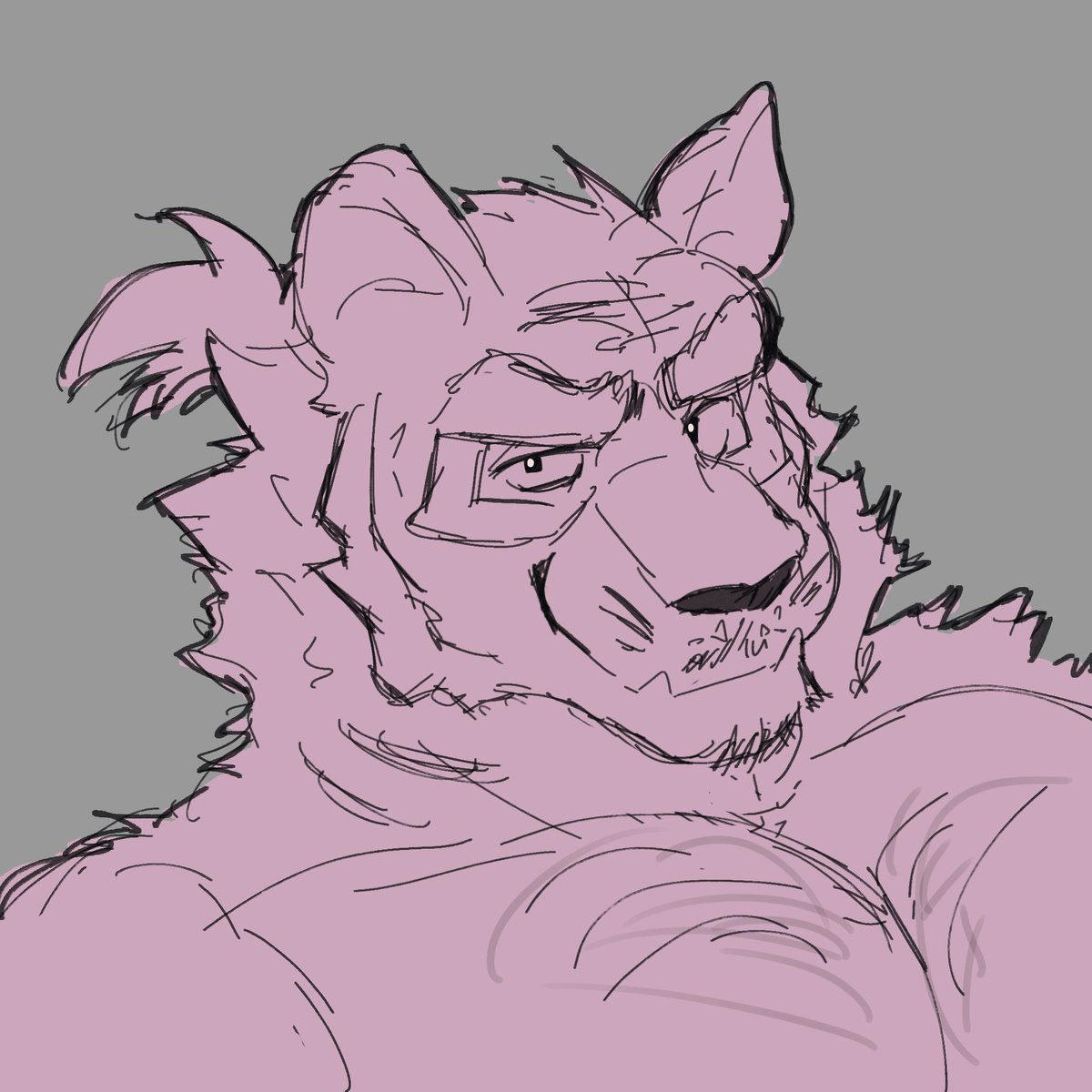 MondoTheRoo's tweet image. Forgot to post this last night