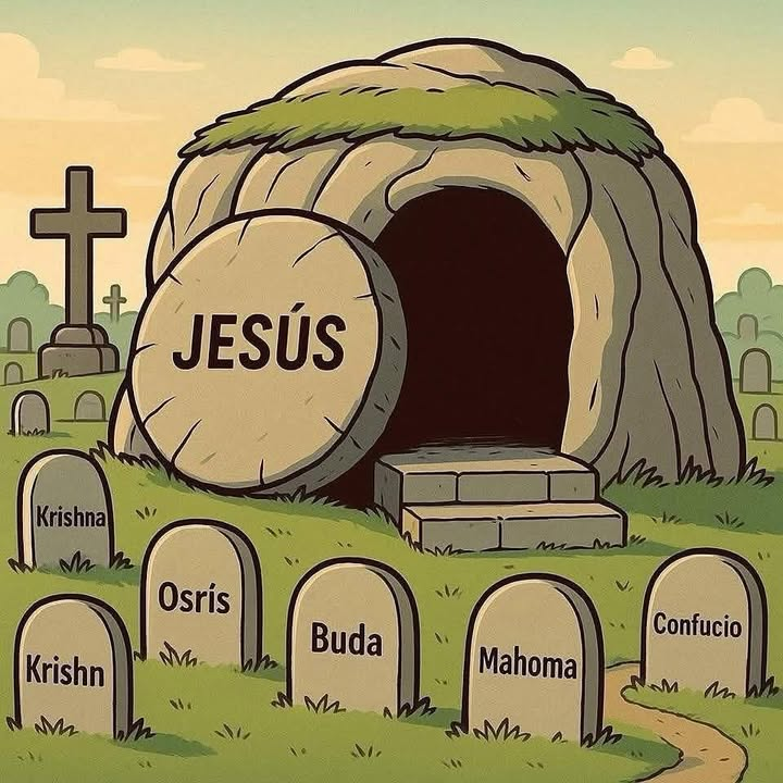 Universitarios Católicos tweet media