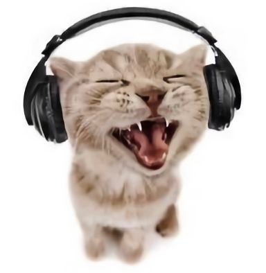 nari 🍉 tweet media