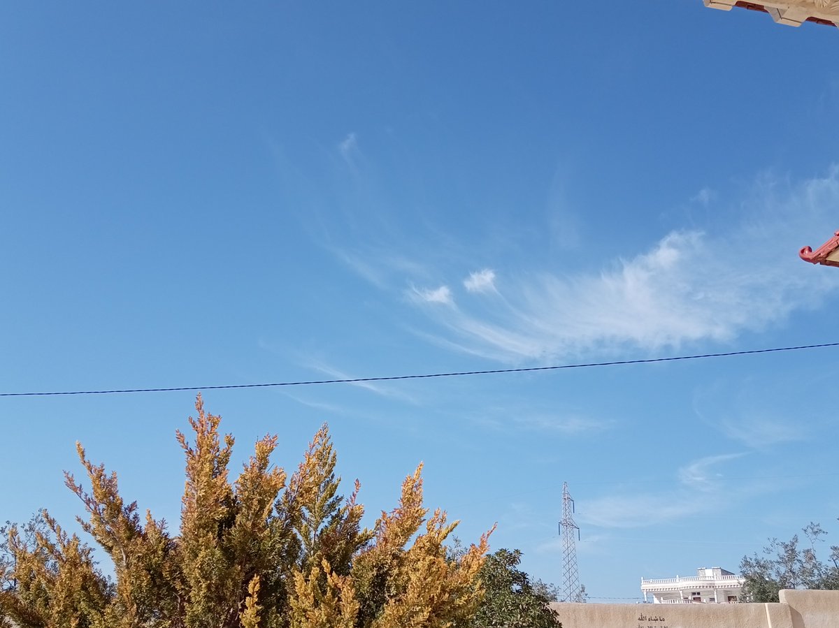 بعضُ الجنون مساحةُ تنفّسٍ للعقل

جنوا لحتى ما تنجنوا 🥴