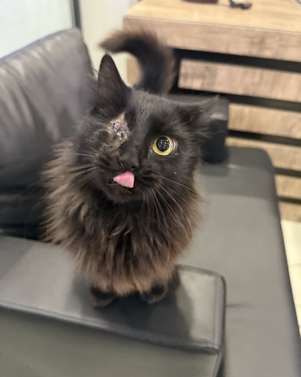 olursaoluur's tweet image. Bir kerecik rt yapar mısınız acabaa💜💜