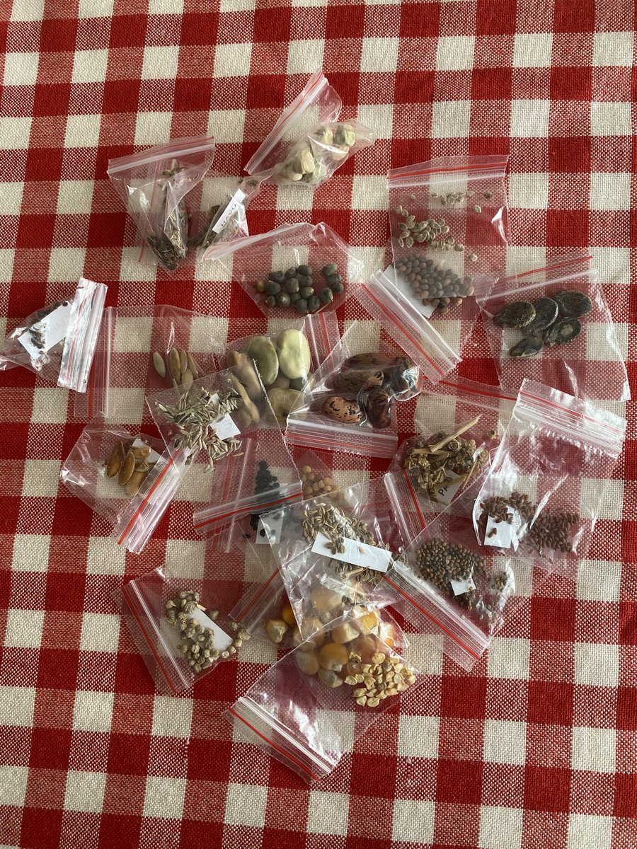 Yurtsever insan, toplum yararına bir ülküye gönül veren ve gerçekleştirmek için sabırla, inatla çalışandır. Değerli <a href="/fatihcolak19831/">Fatih Çolak</a> büyük bir yurtsever, çünkü Türk halkını zehirleyen sanayi tohumlarına karşı canını dişine taktığı bir mücadelede, ATA tohumlarını savunuyor.