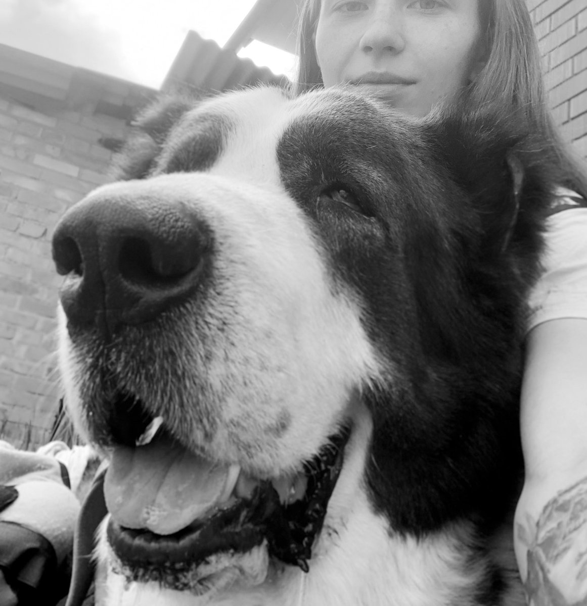 Через 3 дні вже й день народження…💔🎊
Тому на честь цього роблю невеличку баночку, щоб хочаб цей день, можливо допоміг покрити потреби/борги притулку… Хочаб якусь частинку..

send.monobank.ua/jar/2PYU6Z5fHf
💳🫙 4874100024074190

10 числа, якщо щось таки з цього вийде, відзвітую що