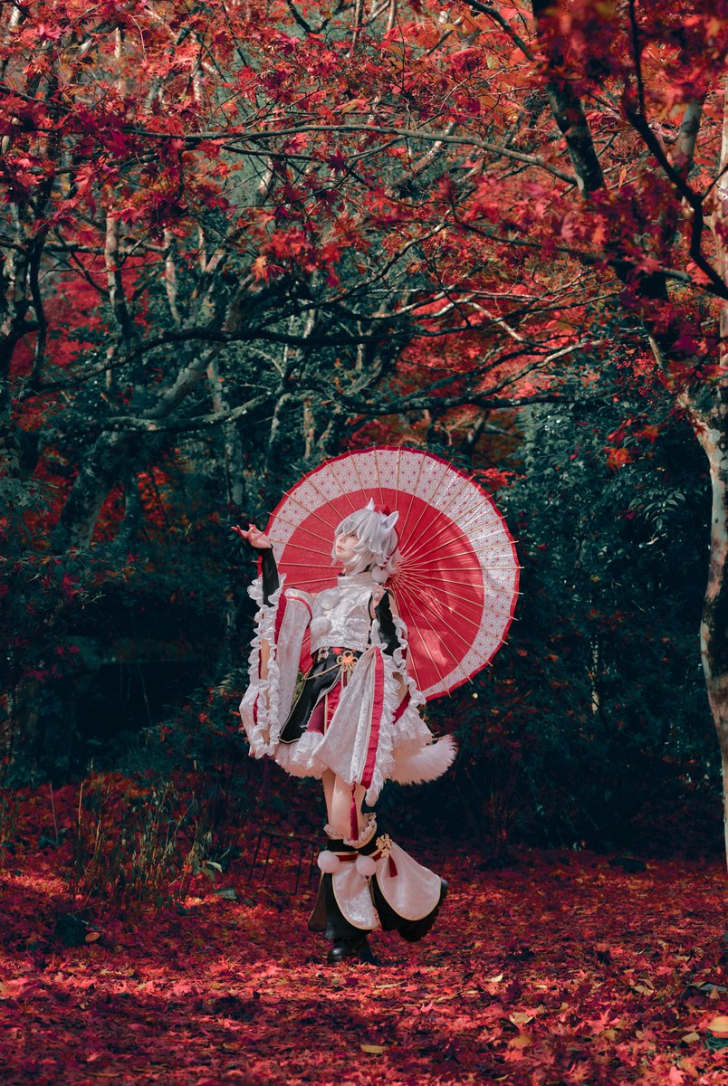 【cosplay】
犬走 椛