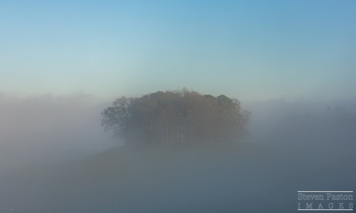 steven paston tweet media