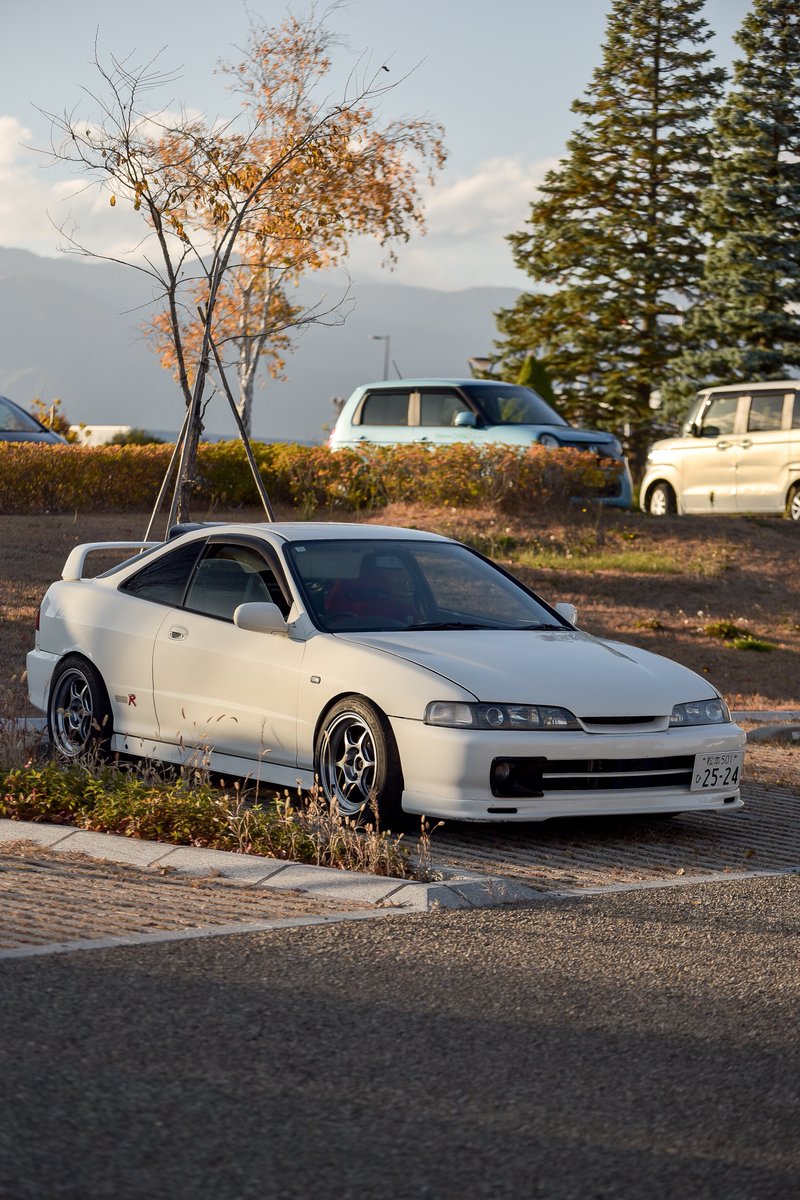 ゆーひ tweet media