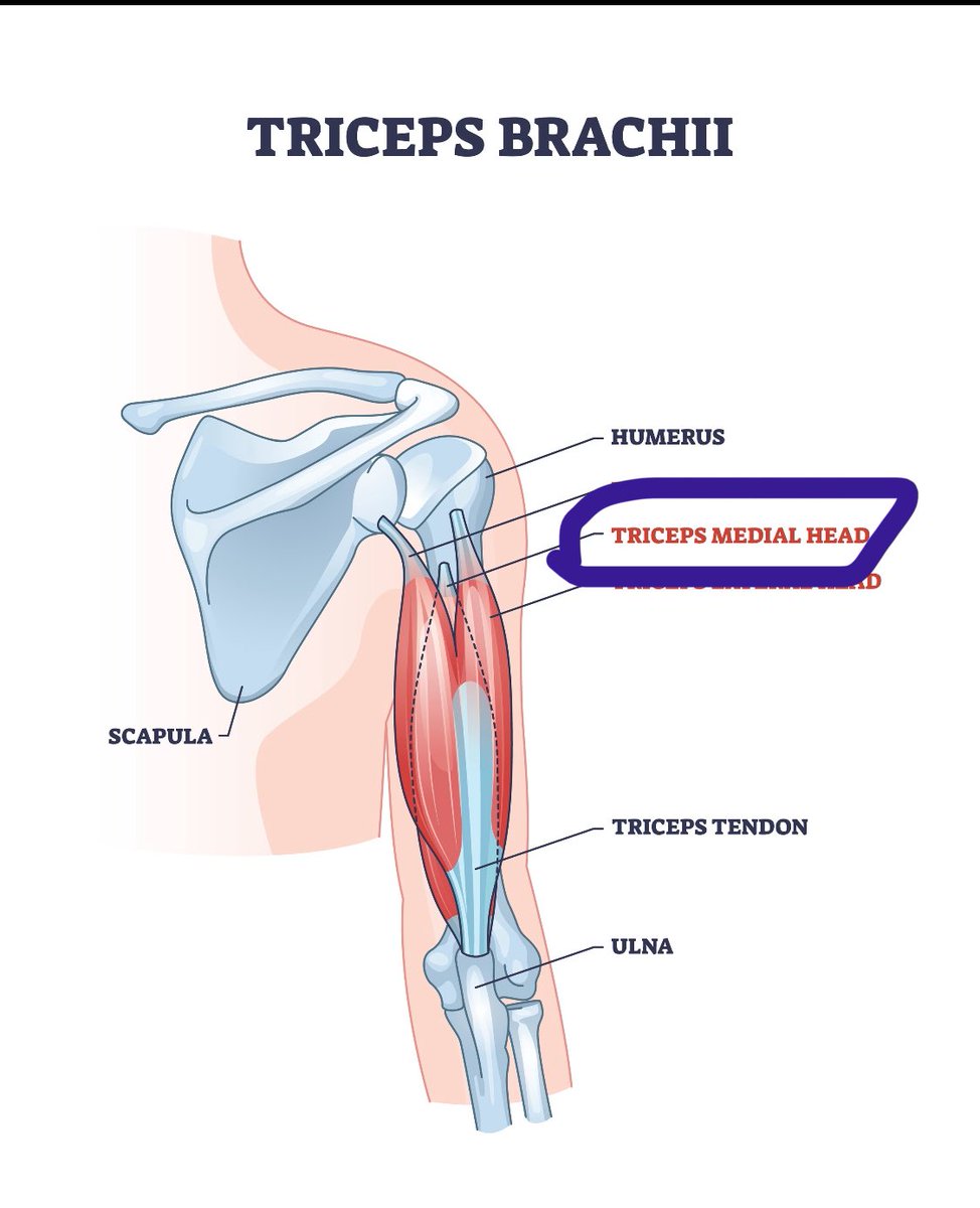주) 인스타짐 공식 인스타그램 (@instargym_official) • Instagram photos and videos, image size:974x1200