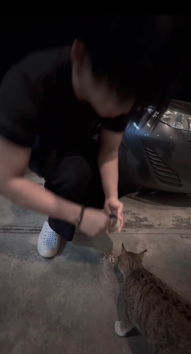 เจอเหมียวตัวใหม่แต่อ้อนเก่งเหมือนเดิม เอาไป 1 ป๋องงง น่ารักจริงๆ