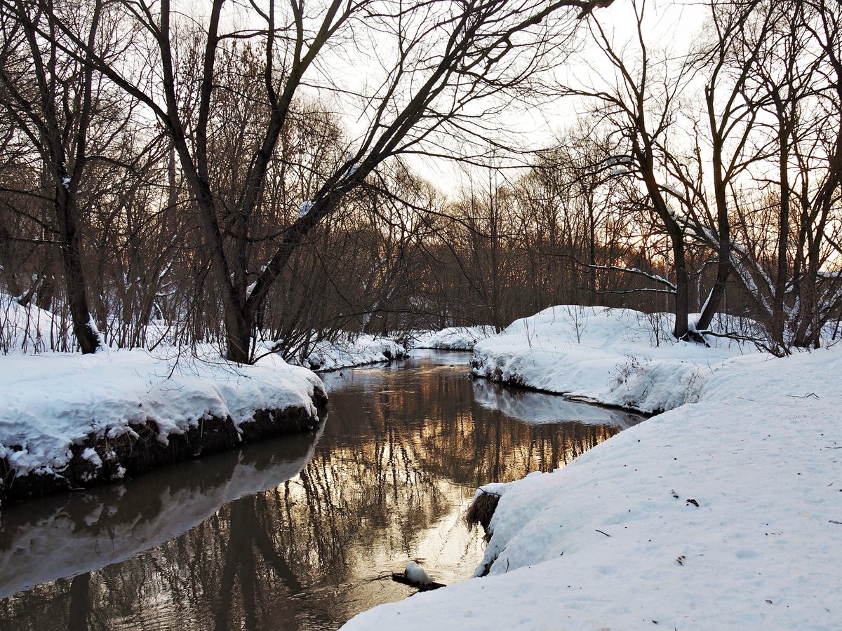 PEKHTography's tweet image. Water remembers summer through motion, not temperature 💧 
Banks frozen, current alive. 
Sometimes survival isn't adapting to the cold — 
it's carrying warmth through it ✨❄️ 
#NaturePhotography #WinterStream #GoldenHour #KeepFlowing