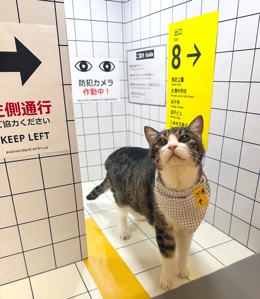 ⭐︎専用⭐︎猫さん様 ディエチ キャット（リサ・ラーソン／Lisa Larson） フリーデザイン