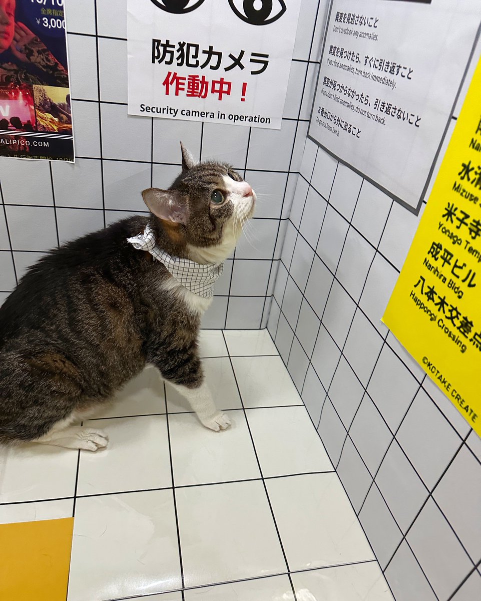 ふらんすねこ様♡ありがとうございます♡ ずっと隣にいてね、