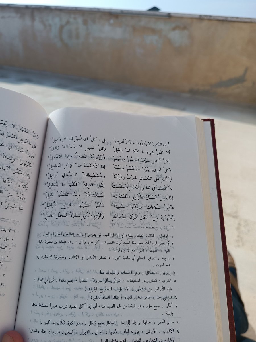 حذيفة. tweet media