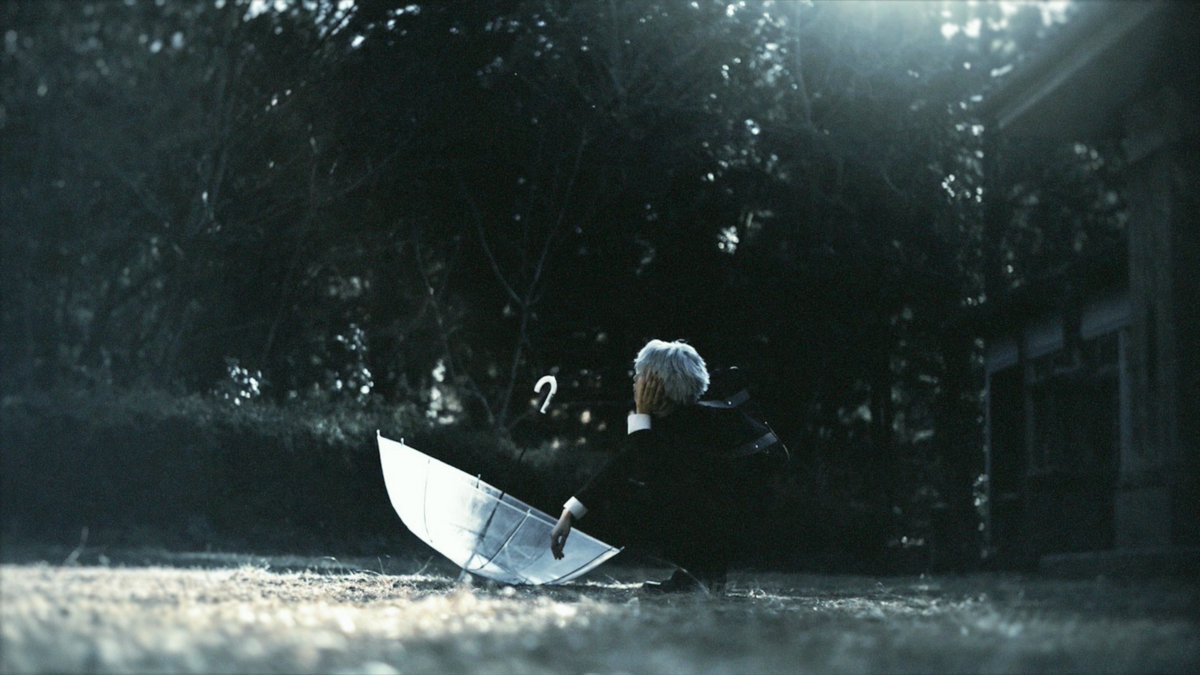 雨上がり 雨上がりの鼓動。 2023.5.21 高尾山 6号路 #高尾山 #新緑 #雨上がり