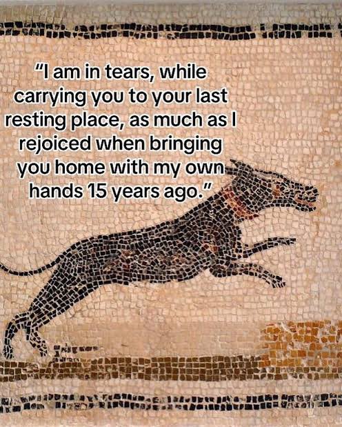 Epitaph for a Roman dog