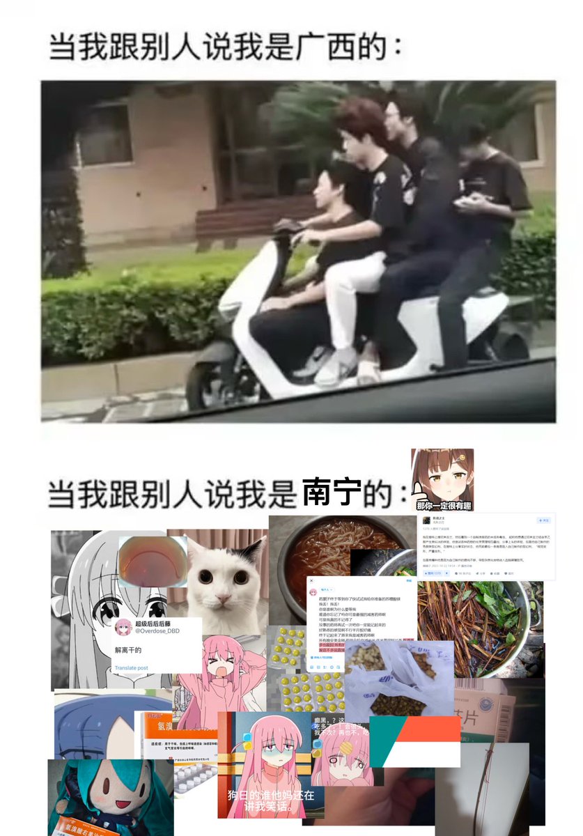 当你的猫讨厌被梳毛时，你都是怎么打理它们的毛发的？ : r/SiberianCats, image size:837x1199