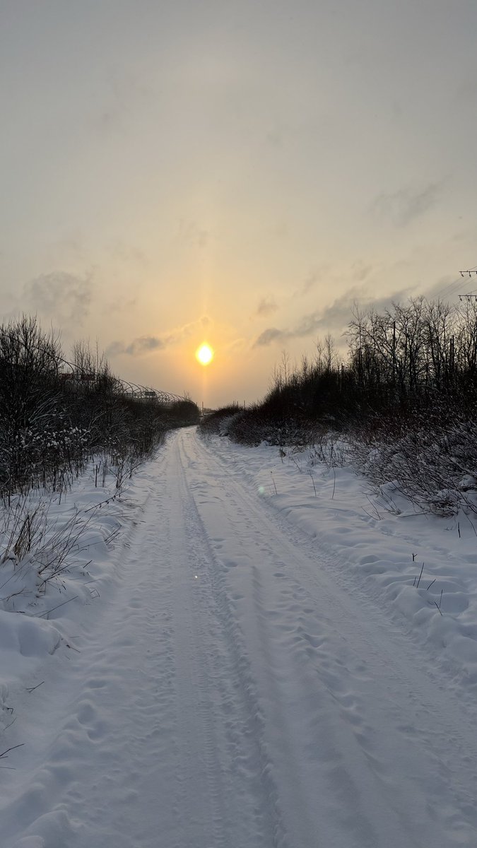 mnchartx's tweet photo. There are roads that feel best walked alone—quiet, endless, with the sun guiding you forward and the snow muffling the world. Pure solitude. ❄️☀️ #WinterWalks #Solitude https://t.co/dDPoTirHdj