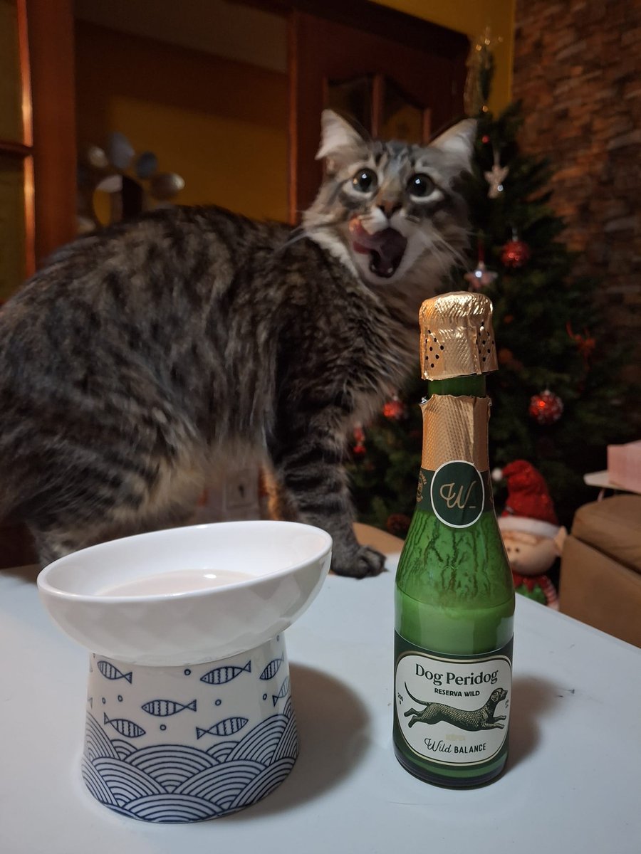 Vane_Stark's tweet photo. 🍾🥂✨ https://t.co/ukOnwowKsP