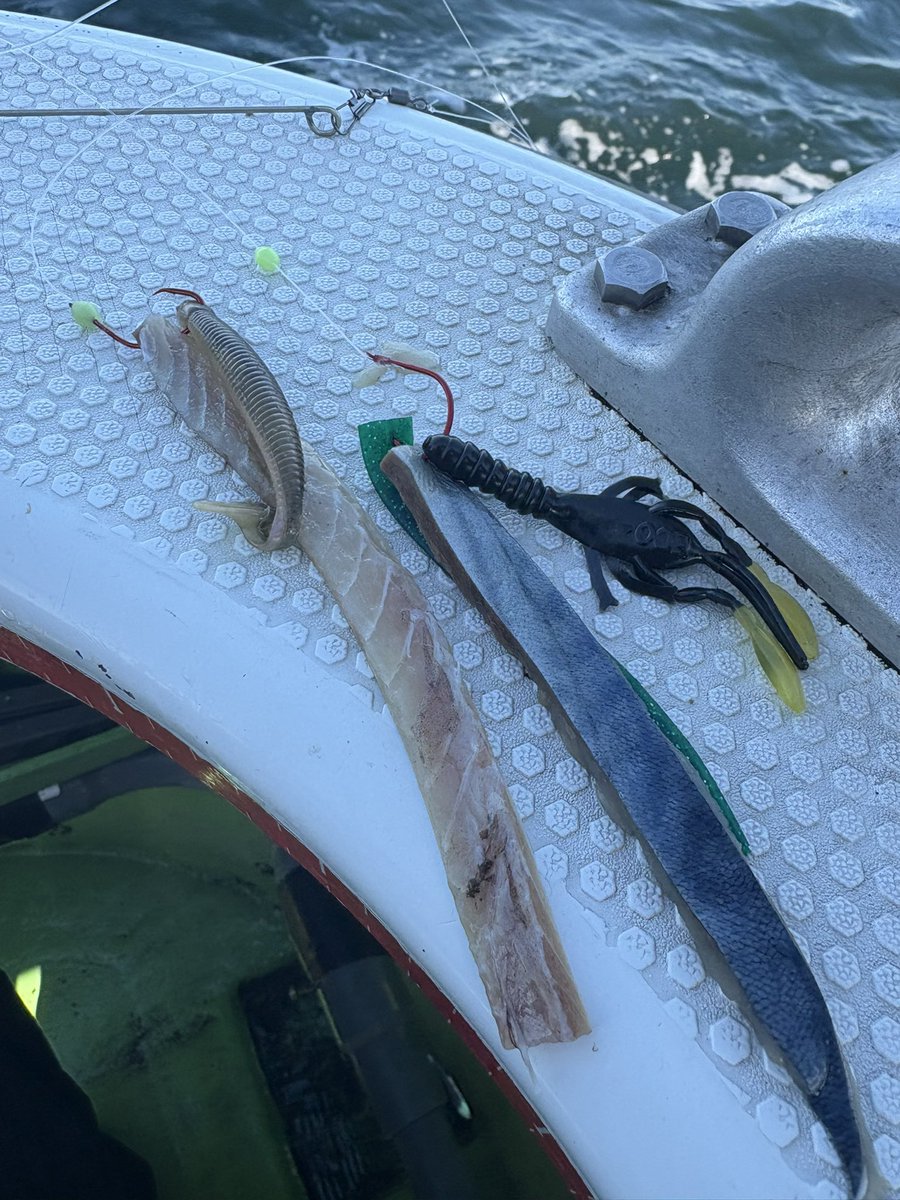 yuta /断捨離開始 (@yuta38jp) / Posts / X