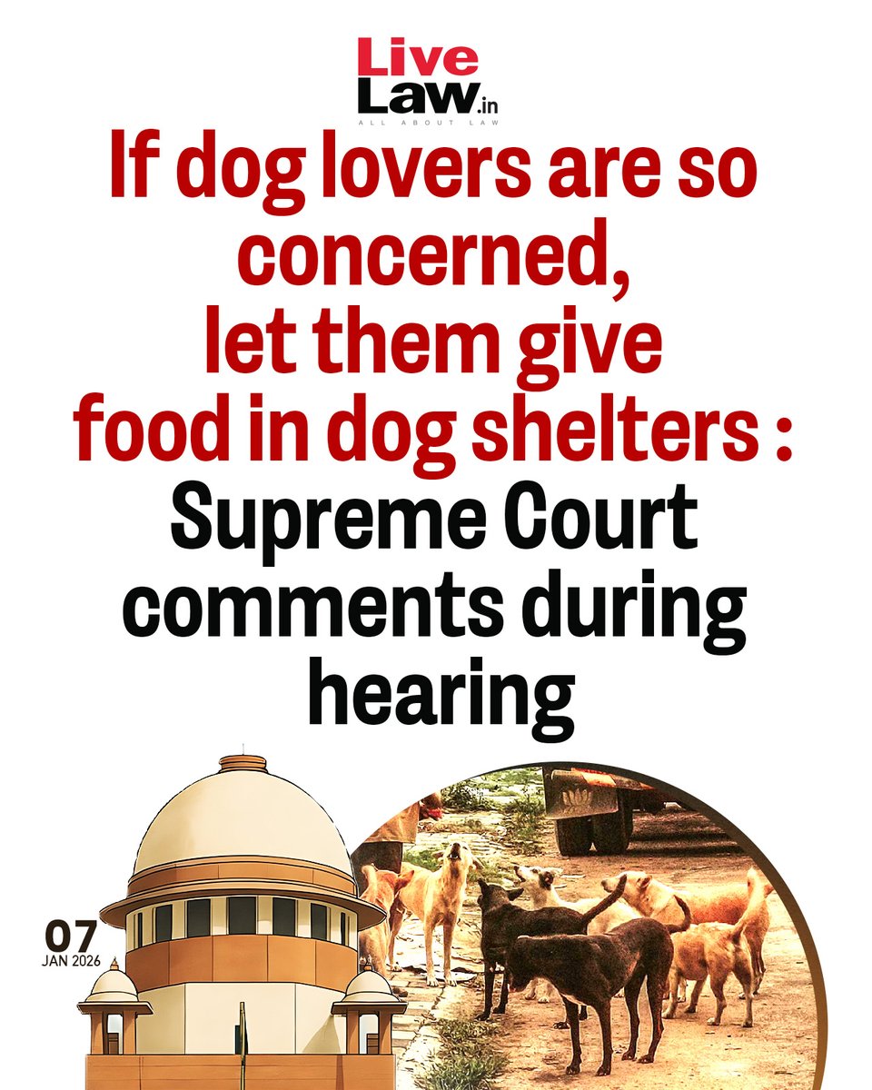 The Supreme Court on Tuesday heard the stray dog matter extensively, primarily examining the issue of stray dogs in institutional premises, with the Bench questioning whether spaces such as courts, schools and hospitals should have canine presence at all.
Read more: