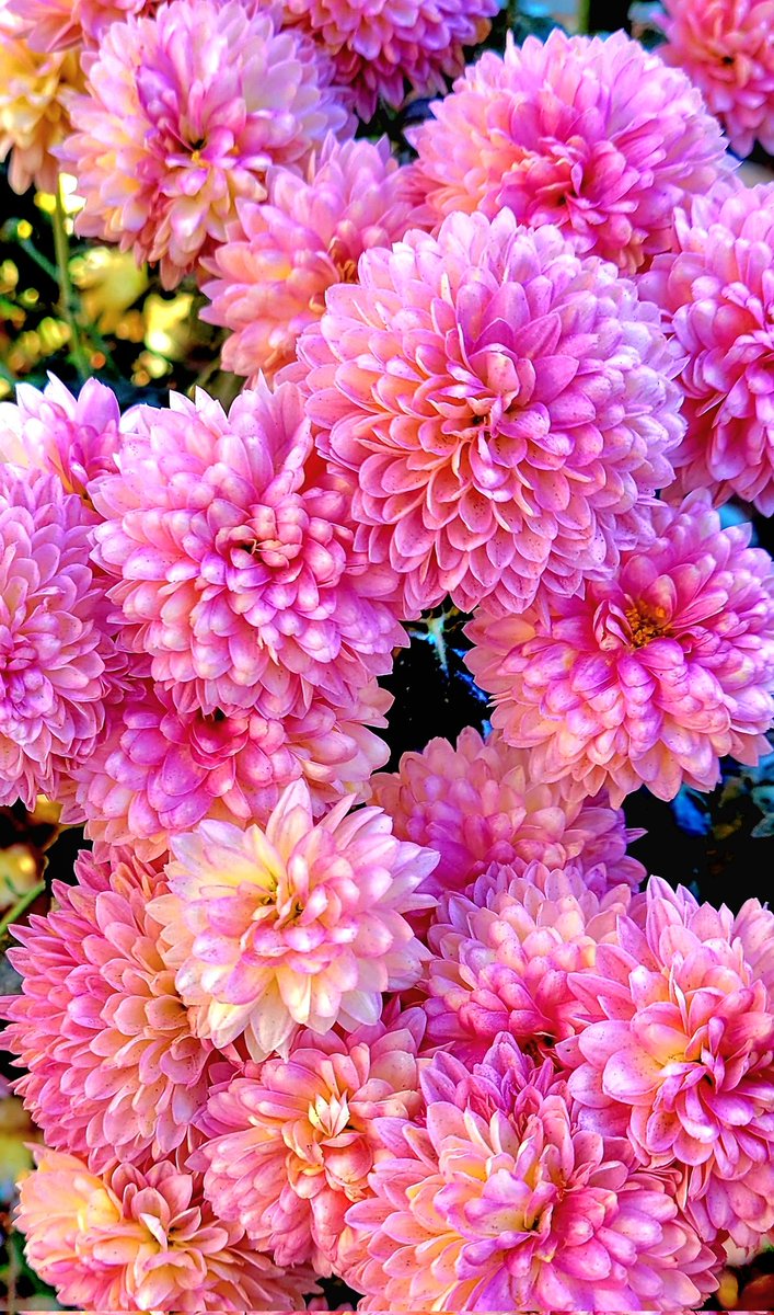 ちゅん chunma_art202010.jpg?impolicy=