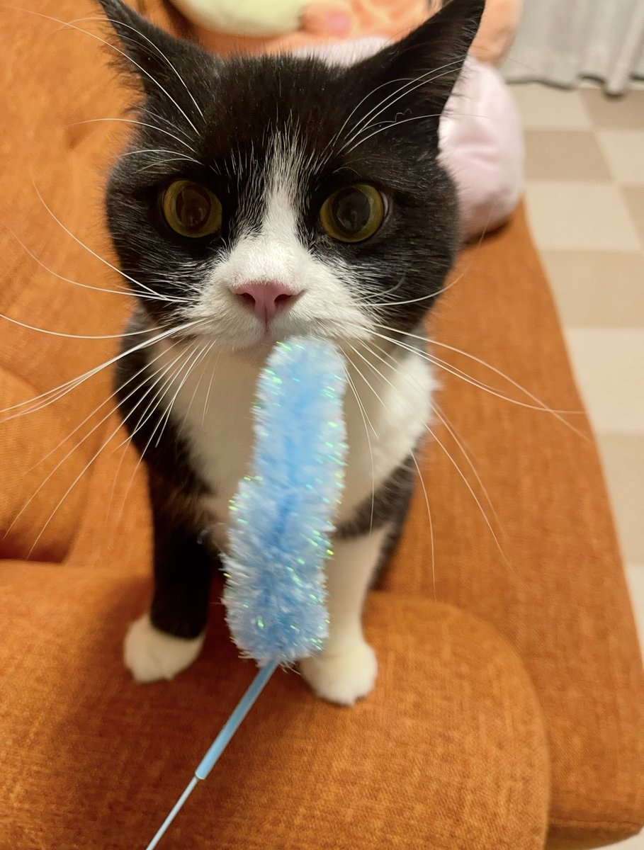 たろう (@taro20216) / Posts / X