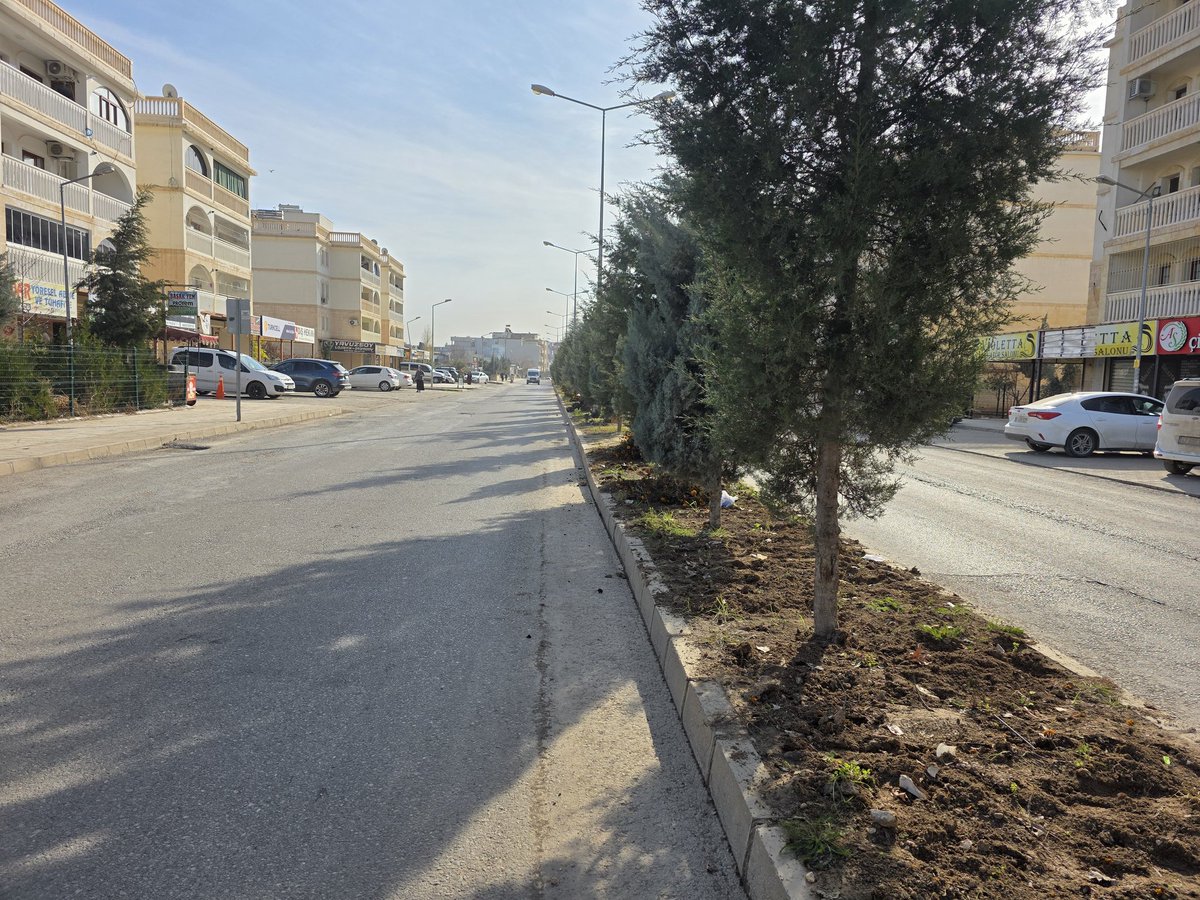 ✅Çağçağ Caddesi’nde Mevsimlik Çiçekler İçin Hazırlık 

Park ve Bahçeler Müdürlüğü ekiplerimiz, Çağçağ Caddesi’nde kuruyan mevsimlik çiçeklerin söküm ve temizlik çalışmalarını tamamlayarak alanları yeni ekim için hazırlıyor. 

İlçe estetiğini güçlendiren çalışmalarımız, ekolojik