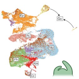 🌱Pierdomenico Perata tweet media