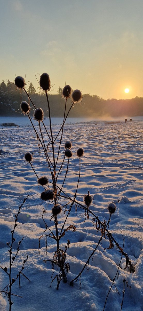 Winter... sneeuw ....Arnhem