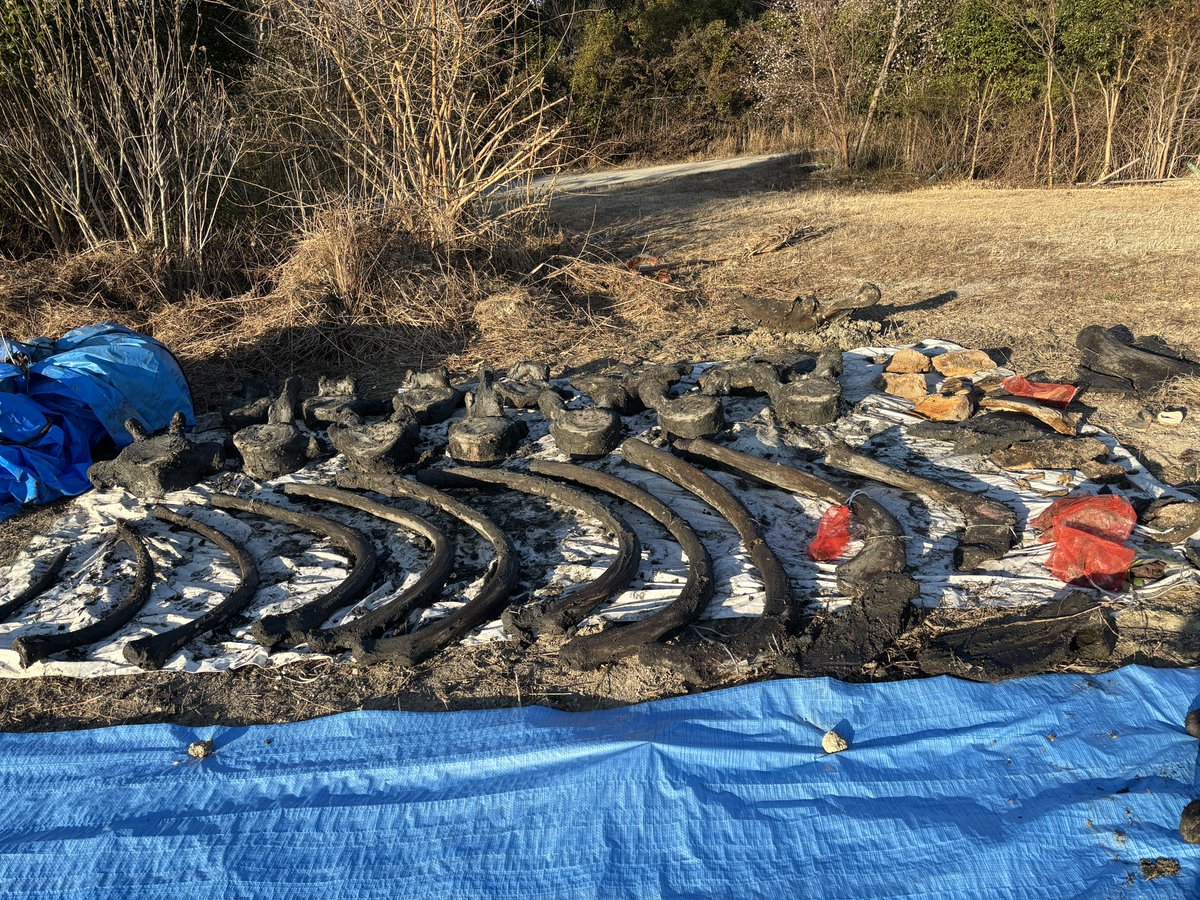 tori (@tori8087) / Posts / X