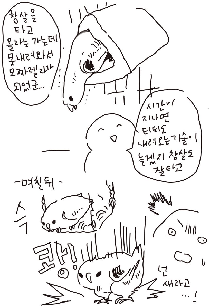 beyondmyday's tweet image. 잡고 높이 올라가기만하고 내려오질못하길래 다른애들처럼 철장을 잡고 내려오는것도 익히겠지했는데 그냥 뛰어내리게됐다😅 해먹에서 뛰어내릴땐 진짜 쾅!!소리가 나는데 괜찮은가 싶다 기술이 느는게 아니라 그냥 간만 크는거니? 사다리도 놔주고했는데도 어쩐지 뛰어내리는것에 익숙해진것같다