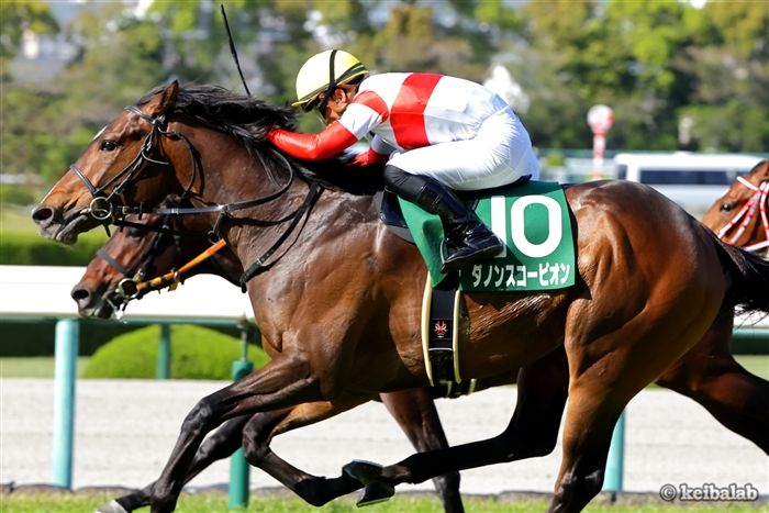 【ありがとうダノンスコーピオン】
ダノンスコーピオン
Danon Scorpion
(牡7、栗東・福永祐一厩舎)
父ロードカナロア、母レキシールー
母父Sligo Bay
#ダノンスコーピオン #引退 #南アフリカ
keibalab.jp/db/horse/20191…