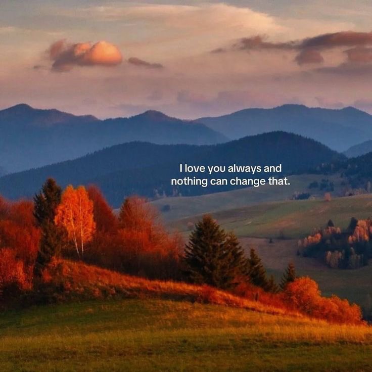 voidveloun's tweet image. my gardenia.