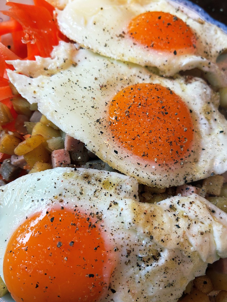 BasedBasse's tweet image. Inget sitter bättre än en stor portion pyttipanna med ett gäng ägg efter en dag i pulkabacken.

(Och inb4 ”var är rödbetorna?” så kan jag meddela att de rackarna var slut)