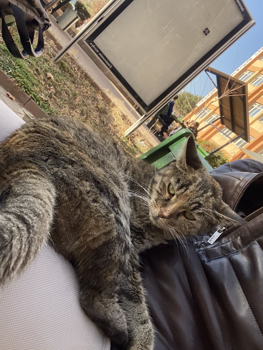 Bankta oturuyordum gel dedim geldi mal