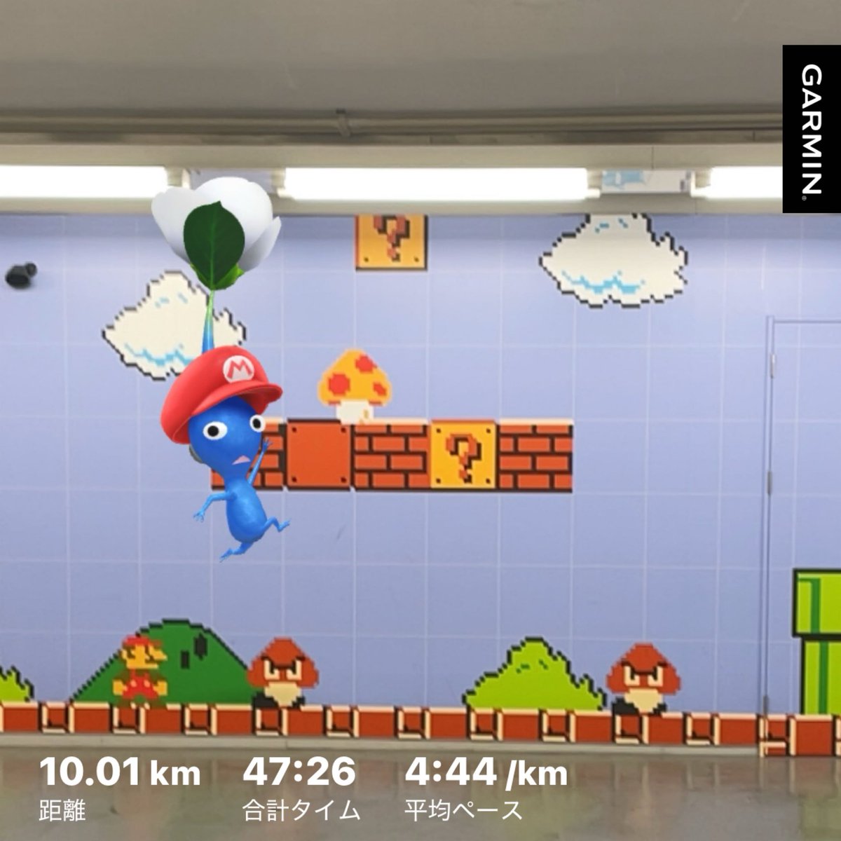 𝕏 ぽんすけ🐼🐻‍❄️ 𝕏 (@ponsuke_jp) / Posts / X