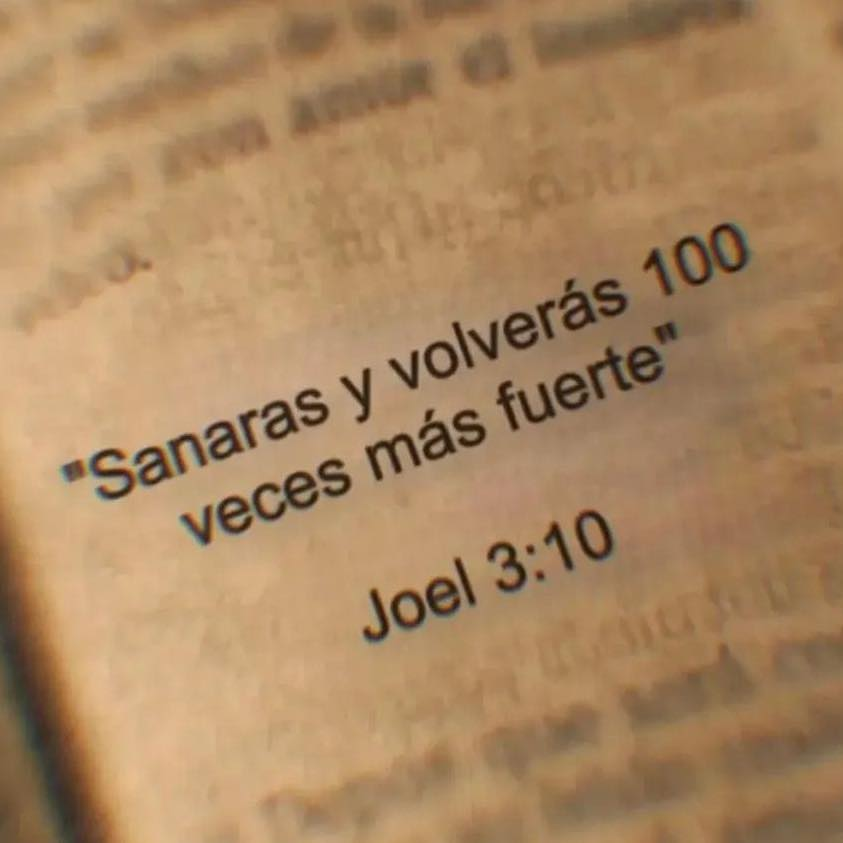 BANDIDOS (@bandidosfrasess) on Twitter photo 