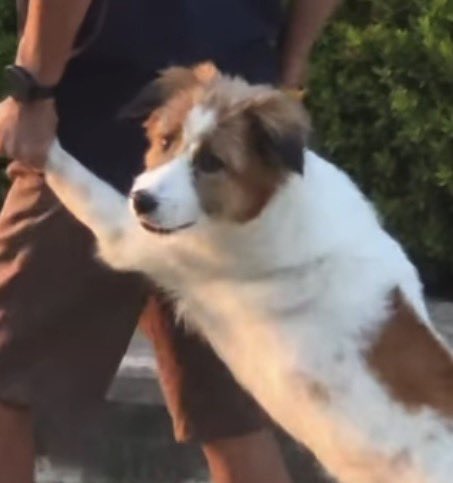 nachalucha's tweet image. ลุงหามก็ขำแล้ว สักพักป้าเดินมาช่วย กุรั่วเลย 5566643355555555555555555 แล้วดูหน้าน้องมองแบบ เฮ้ววว นุดเฮ้ววว 5555555555555555555555 

#yinyin_anw