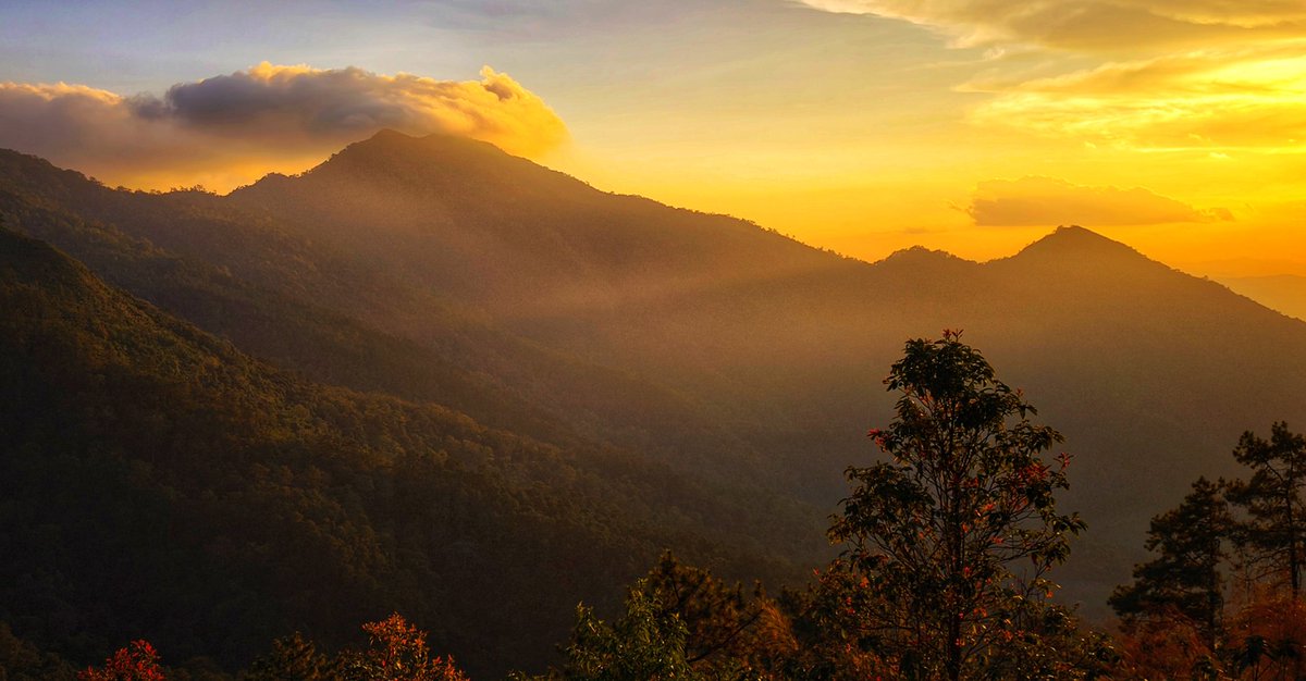 ฝันดีราตรีสวัสดิ์...