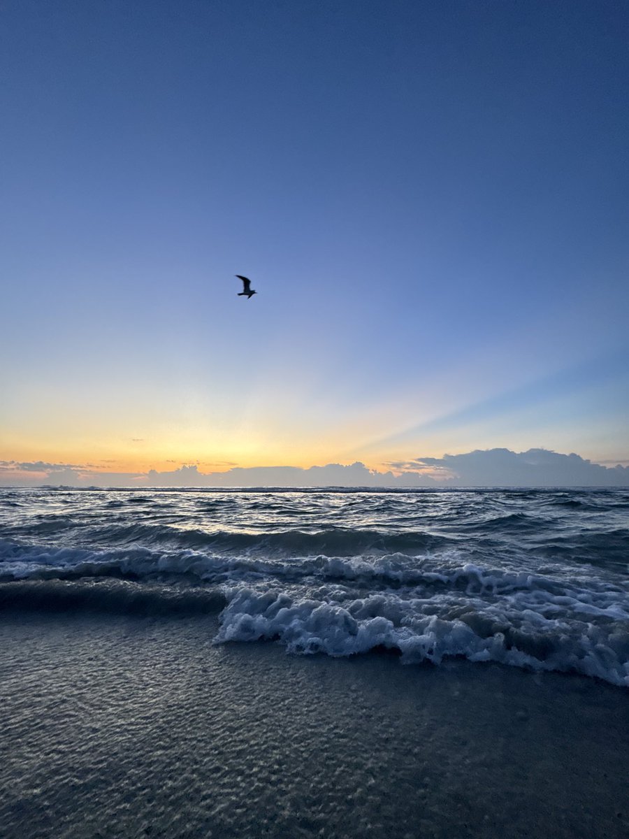 RoamingNC's tweet image. just set me free