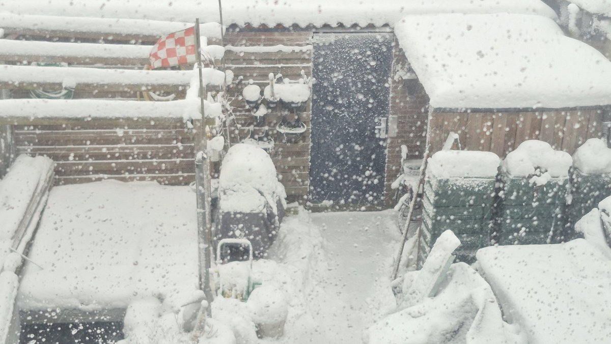 Team_PyroDragon's tweet image. Het is inmiddels weer gestopt met sneeuwen, 24cm bij -0,5 graden is de eindstand. Dauwpunt -2c nu. 

De laatste keer dat wij meer dan 20cm hebben gehad was in 2005.

In 2010 hadden we 18cm, in 2019 16cm en in 2021 ook rond de 18cm.

#sneeuw #WINTER #24cm