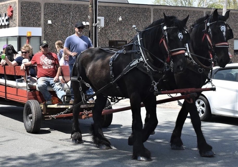 Mom v Truro: Who’s Suing Who In N.S. Supreme Court

“[Plaintiff’s son] was dragged a significant distance by the running horses [and] struck his head on the pavement.”(more)…

frankmag.ca/2026/01/whos-s…

MENTIONS: BECKY MACLEAN JOE COSIER LAUREEN RUSHTON LUCAS RUSHTON RONALD BENOIT