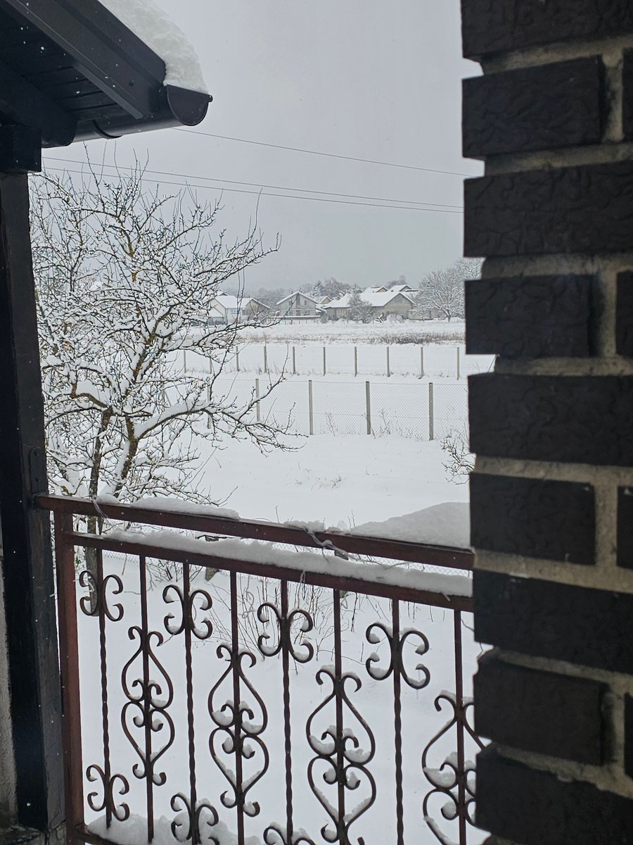 primedecho's tweet image. Outside looks pretty cool though 

Not looking forward to the "can you shovel the yard later" request though 

And no postal service will occur today obviously