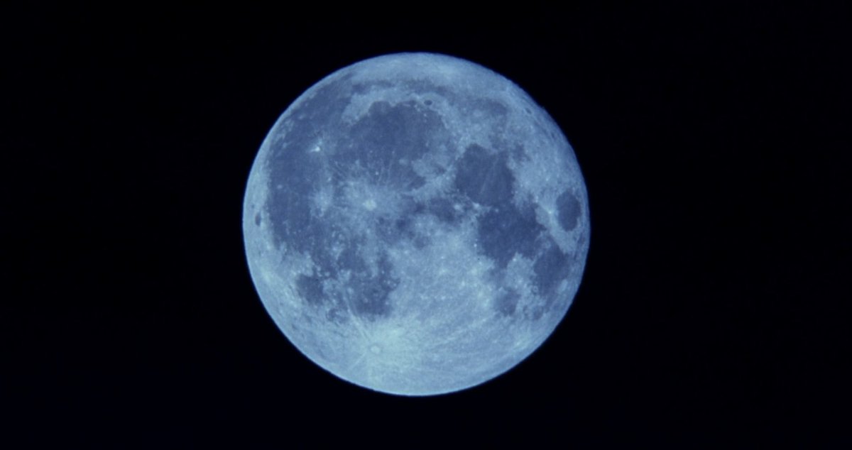 simonchouchou's tweet image. "when you're scared all the time, you almost wish you were dead."

『ソナチネ』sonatine
(takeshi kitano, 1993)